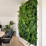 green-wall-resting-room
